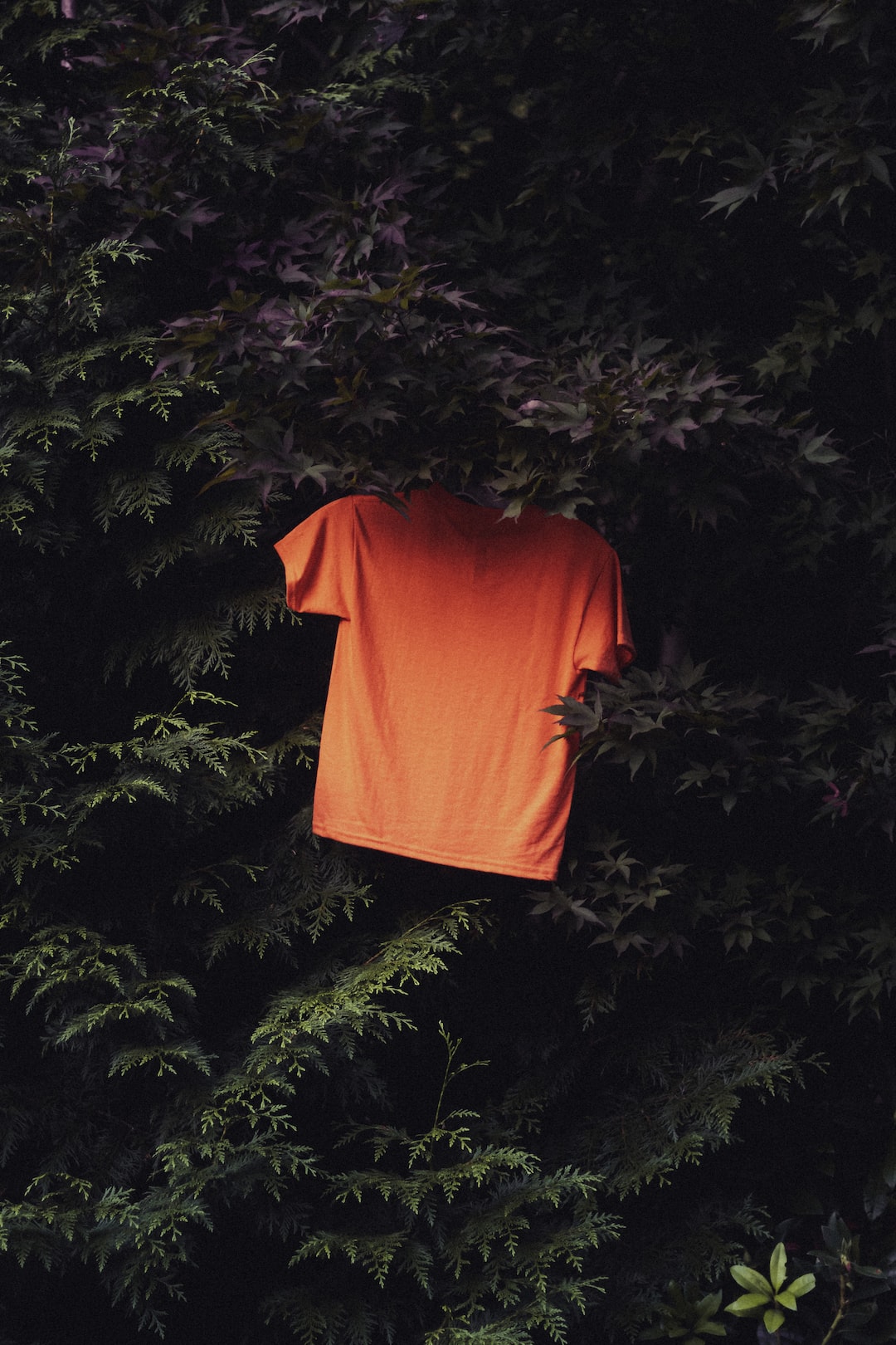 an orange t - shirt hanging on a tree branch